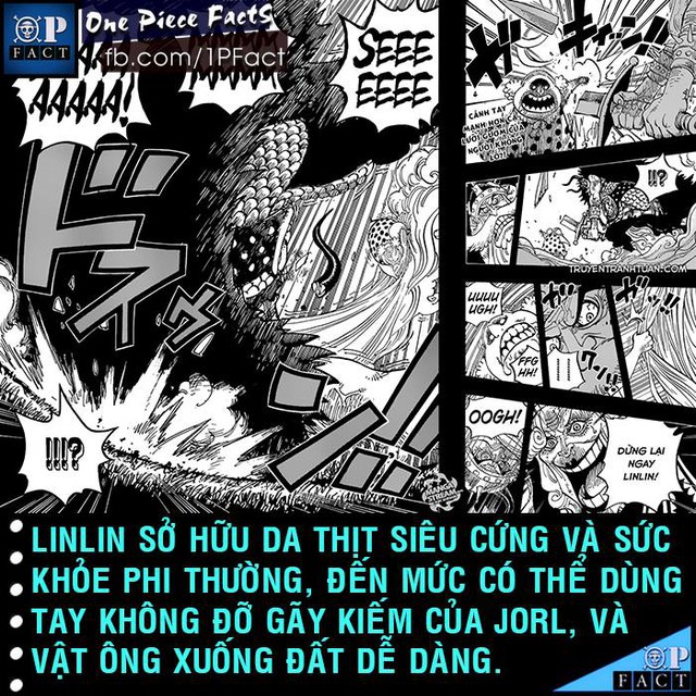 Đầu năm mới, cùng nhìn lại 20 fun facts thú vị trong truyện tranh One Piece - Ảnh 12.