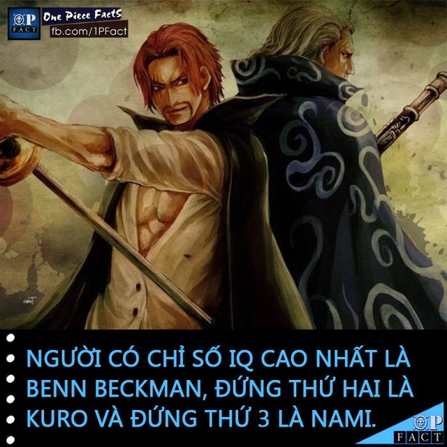 Đầu năm mới, cùng nhìn lại 20 fun facts thú vị trong truyện tranh One Piece - Ảnh 14.