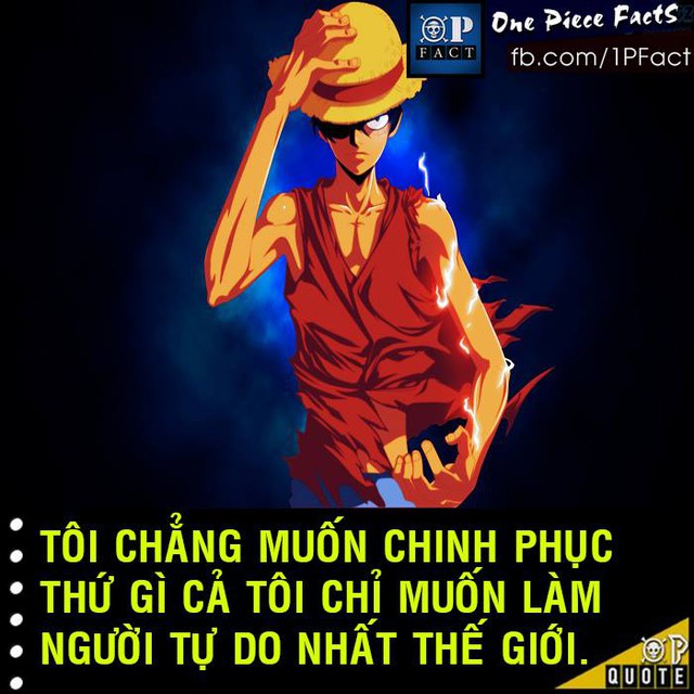 Đầu năm mới, cùng nhìn lại 20 fun facts thú vị trong truyện tranh One Piece - Ảnh 17.