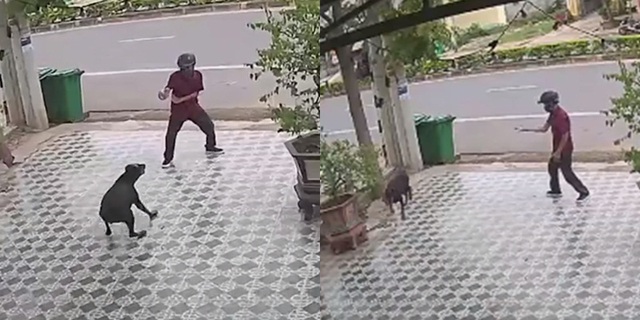 Cái kết cũng khiến khá nhiều người kinh ngạc