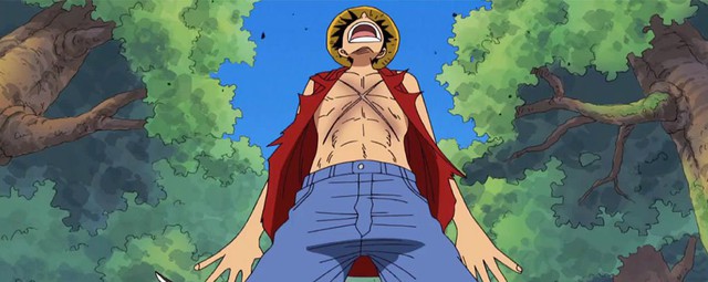 One Piece: Những hiểu lầm thường gặp nhất khi nghe ai đó nói về One Piece (P1) - Ảnh 3.