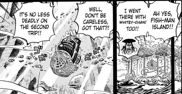 One Piece: Tin được không, Jack mới chính là đứa con trai của Râu Trắng? (P1) - Ảnh 3.
