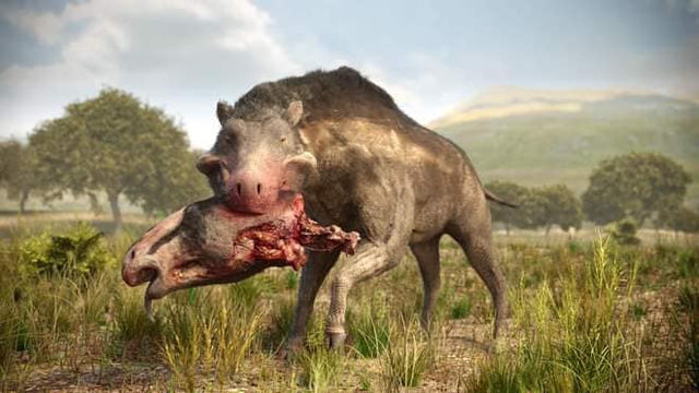 Rùng rợn truyền thuyết về ‘Lợn địa ngục’, quái vật có thực từng xuất hiện tại Bắc Mỹ - Ảnh 1.