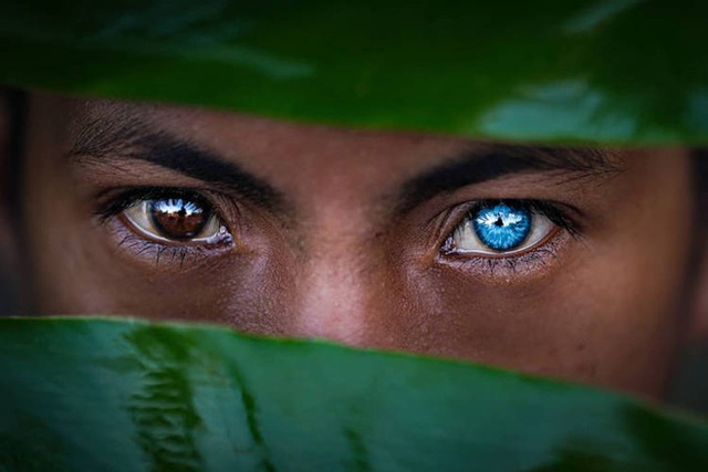 truyền - Hội chứng di truyền kỳ lạ khiến cho các thành viên trong bộ tộc bản địa Indonesia sở hữu màu mắt xanh hiếm thấy Photo-1-1601910849883370828489
