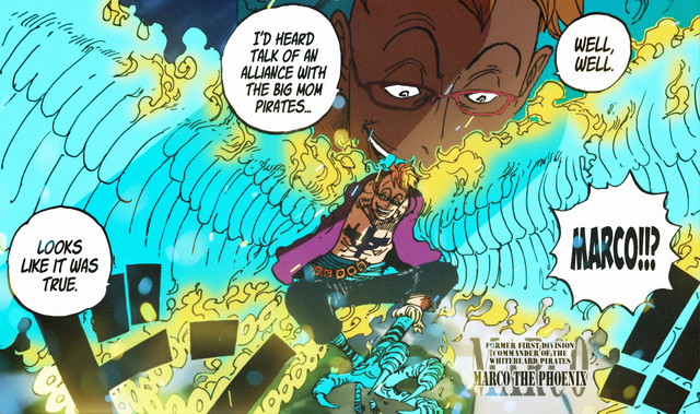 Phượng Hoàng Marco – Thanh niên liều lĩnh nhất One Piece, mỗi lần ra tay là phải đánh nhau với hàng khủng - Ảnh 7.