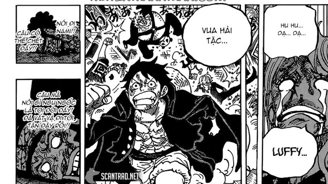 Ngay cả lúc nguy hiểm nhất Nami vẫn tin tưởng tuyệt đối vào Luffy