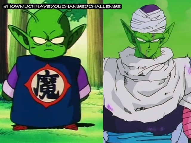 Thích thú khi thấy các nhân vật trong Dragon Ball tham gia thử thách #Howmuchhaveyouchangedchallenge - Ảnh 6.