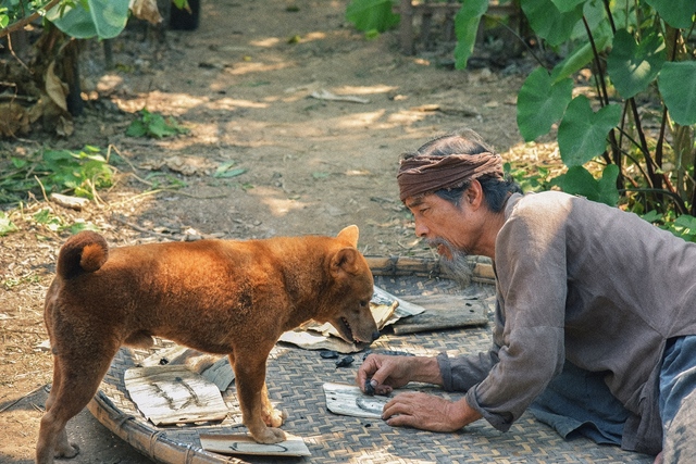 Cậu Vàng tiếp tục nhá hàng teaser trailer, poster khiến người hâm mộ thích thú - Ảnh 3.