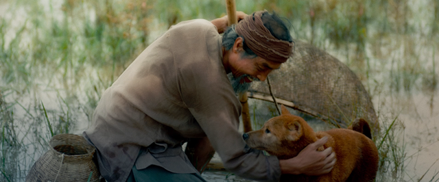 Vừa xuất hiện, hình ảnh Cậu Vàng khiến dân mạng tranh cãi: Trông không có vẻ gì đói nghèo, khổ sở - Ảnh 4.