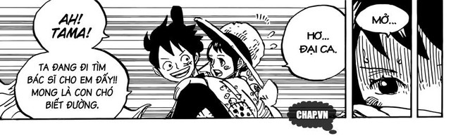 One Piece: Hành trình thay đổi từ một chàng trai trẩu tre đến một vị vua biết truyền cảm hứng của Luffy - Ảnh 3.