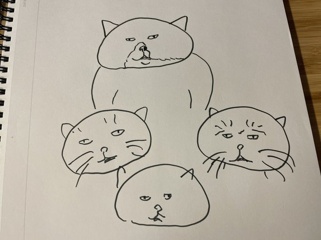 Sở hữu biểu cảm phụng phịu như mấy anh trai dỗi vợ, mèo Nhật bỗng nổi như cồn trên internet - Ảnh 7.