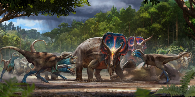 Khủng Long Song Đấu – Hóa thạch vô giá và pha solo 67 triệu năm của 2 loài khủng long nổi tiếng nhất - Ảnh 9.