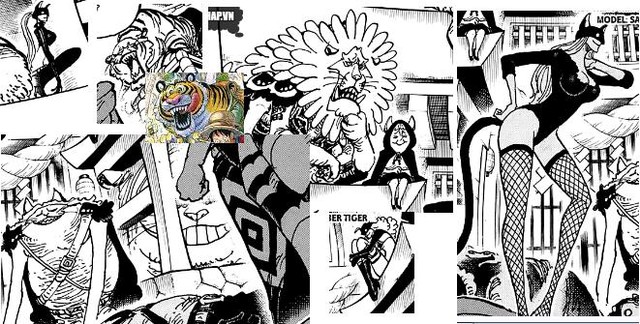 Soi mói One Piece: Những chi tiết thâm thuý mà Oda cài cắm trong chap 998 (P2) - Ảnh 5.