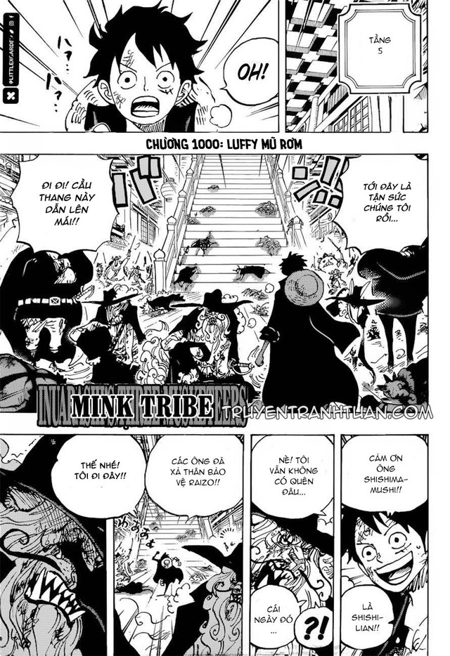 One Piece: Nhìn lại những cột mốc của Luffy tại chapter 100, 200, 300,...1000 để thấy được quá trình trở thành Vua Hải Tặc vĩ đại của Mũ Rơm - Ảnh 10.