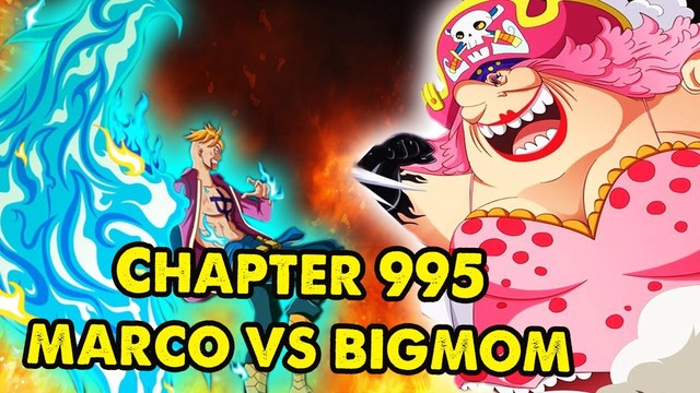 One Piece: Nếu muốn thì Phượng Hoàng Marco đủ sức để trở thành Tứ Hoàng trong 2 năm timeskip - Ảnh 6.