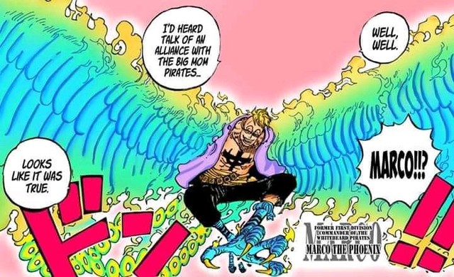 Dự đoán One Piece chap 998: Marco cõng Zoro tấn công King Hỏa Hoạn, Kaido đe dọa người dân Wano? - Ảnh 2.