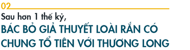 Bí mật loài rắn có chân: Hậu duệ chung tổ tiên với quái thú bá chủ đại dương Thương long? - Ảnh 4.