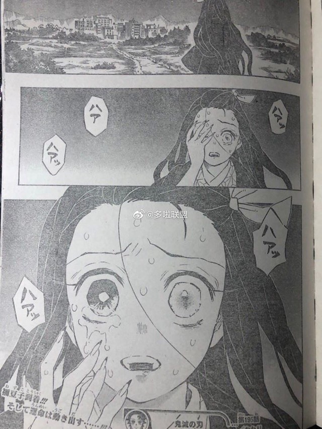Spoiler Kimetsu No Yaiba 195: Chúa Quỷ Muzan bị đâm xuyên cổ, Nezuko chuẩn bị biến thành người - Ảnh 5.