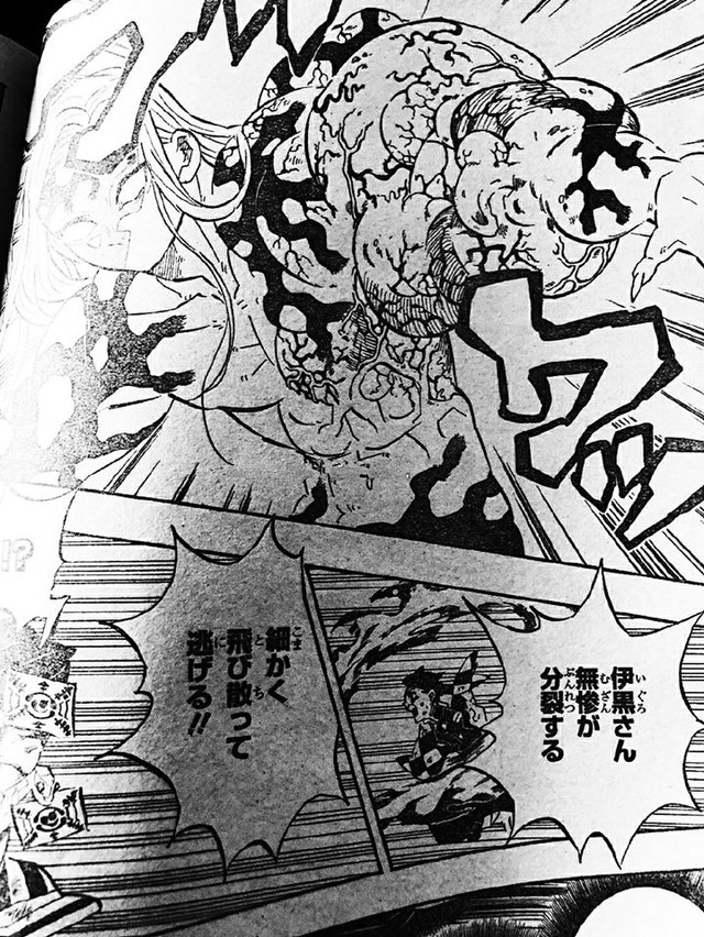 Spoiler Kimetsu no Yaiba 196: Nezuko chính thức trở lại thành người, Muzan đau đớn khi toàn bộ tế bào đang bị phá hủy - Ảnh 3.