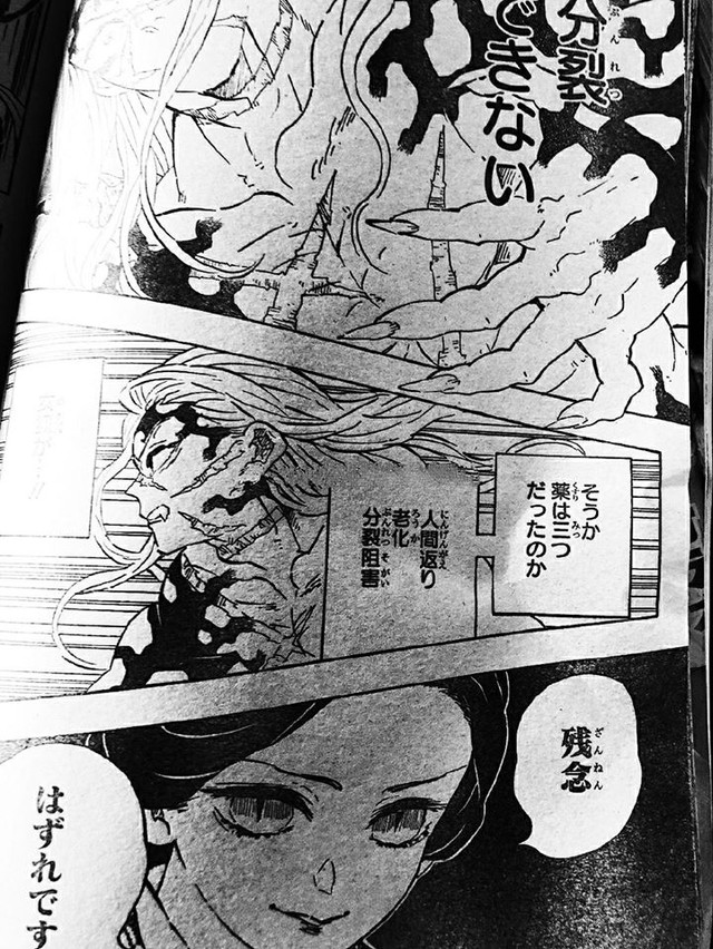 Spoiler Kimetsu no Yaiba 196: Nezuko chính thức trở lại thành người, Muzan đau đớn khi toàn bộ tế bào đang bị phá hủy - Ảnh 5.