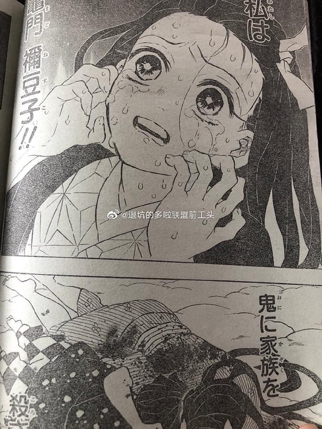 Spoiler Kimetsu no Yaiba 196: Nezuko chính thức trở lại thành người, Muzan đau đớn khi toàn bộ tế bào đang bị phá hủy - Ảnh 2.