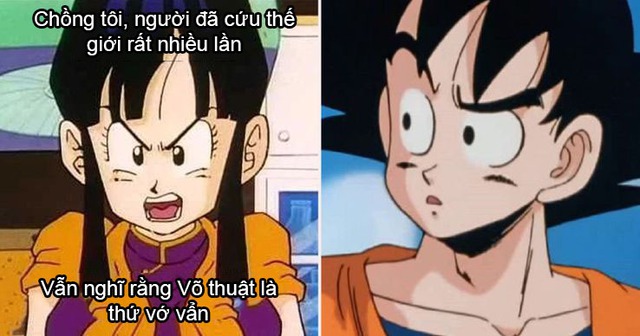 Dragon Ball: Vợ chồng Goku và Chichi trở thành bể muối để fan chế meme hài hước - Ảnh 8.