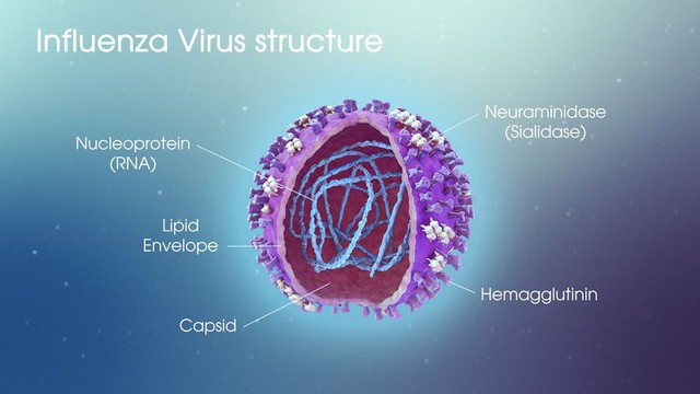 Tìm hiểu về Virus – Những thực thể “sống lỗi” nhất trên Trái Đất - Ảnh 1.