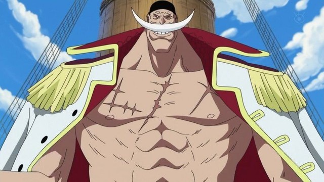 One Piece: Điểm lại các vết sẹo vang dấu 1 thời của các Hoàng Đế ở Tân thế giới - Ảnh 3.