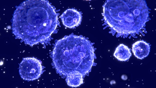 Đi tìm lời giải cho độc tính của virus corona: Khi nào chúng gây chết người, khi nào chỉ gây cúm? - Ảnh 7.