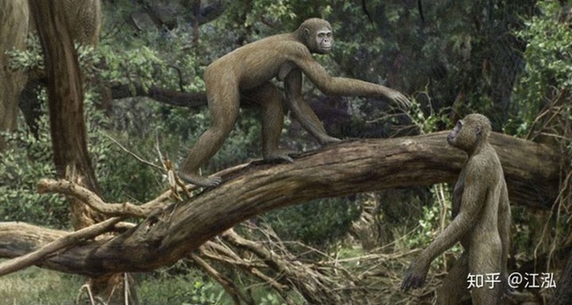 Tổ tiên của loài người đã từng gây ra sự tuyệt chủng của động vật từ 4 triệu năm về trước - Ảnh 3.