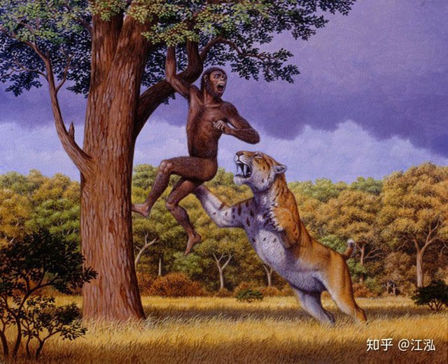 Tổ tiên của loài người đã từng gây ra sự tuyệt chủng của động vật từ 4 triệu năm về trước - Ảnh 8.