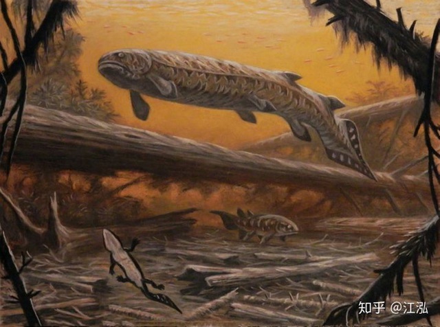 Rhizodus Hibberti: Loài cá quái vật thời tiền sử, sinh vật bá chủ vùng nước ngọt - Ảnh 1.