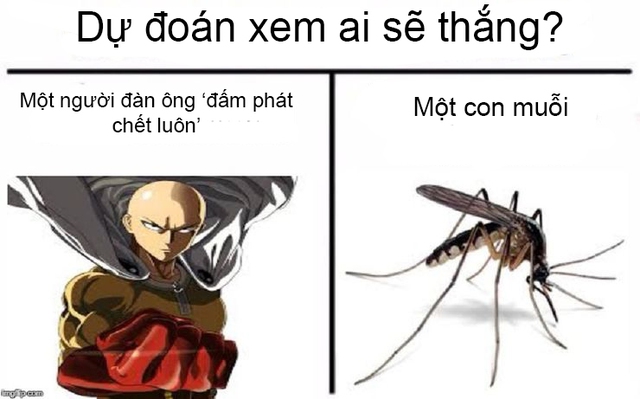 One Punch Man: Cười sái quai hàm với loạt meme về thánh ‘phồng tôm’ Saitama - Ảnh 7.