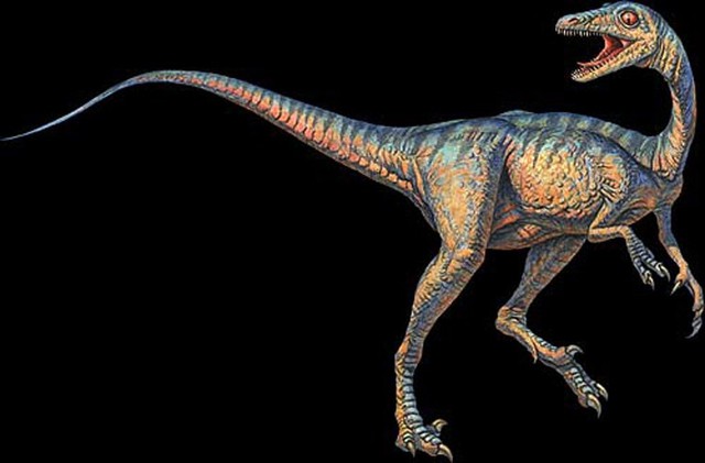 Top 10 loài khủng long ăn thịt nguy hiểm nhất thời tiền sử - Ảnh 1.