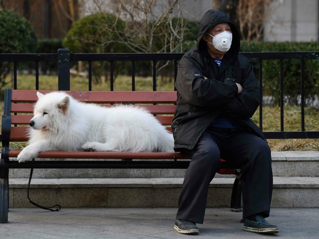 Chuyên gia khẳng định thú cưng không thể nhiễm Covid-19, vậy lý do một chú chó ở Hồng Kông dương tính với virus là gì? - Ảnh 1.