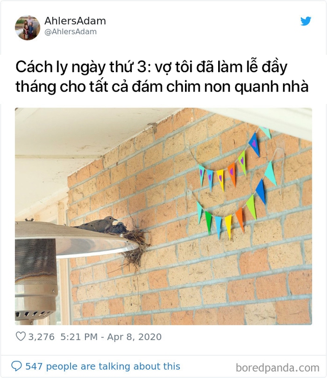 Phát chán vì phải ở nhà nhìn mặt nhau 24/7, cư dân mạng thế giới ngồi than thở về tật xấu của nửa kia của mình - Ảnh 2.