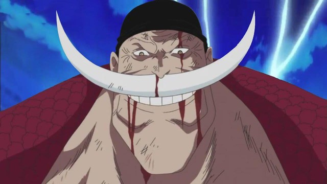 One Piece: Điểm danh 5 nhân vật khi ở thời kì hoàng kim sức mạnh có thể đánh tay đôi với Rocks D. Xebec - Ảnh 2.