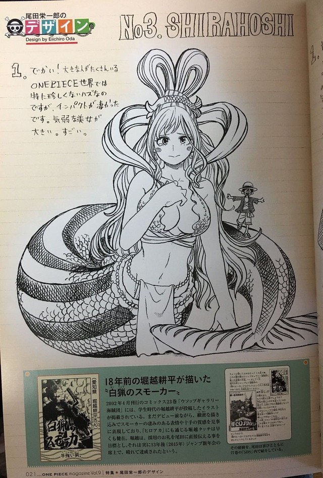 Ngạc nhiên khi thấy nhân vật One Piece được vẽ lại bởi tác giả My Hero Academia - Ảnh 1.