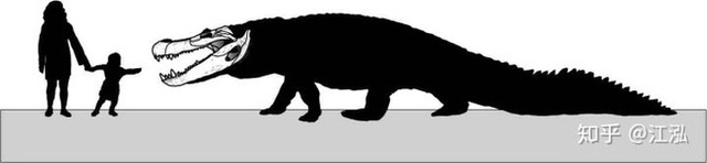 Phát hiện loài rùa cổ đại lớn nhất từng tồn tại trên Trái Đất - Ảnh 9.