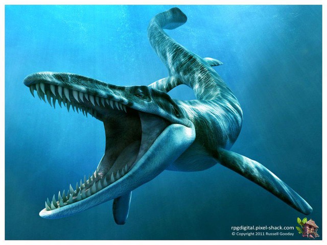 Tylosaurus: Siêu sát thủ đại dương thời tiền sử, cá mập cũng chỉ là thực đơn - Ảnh 3.