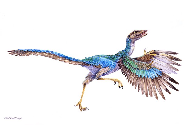 Tổ tiên của loài chim chính là khủng long, bạn có tin không? - Ảnh 2.