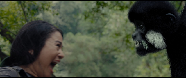Truyền Thuyết Về Quán Tiên tung trailer một lần nữa khẳng định câu chuyện khỉ vượn thích người là có thật - Ảnh 5.