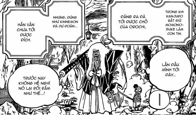 One Piece: Zoro đi lạc bất ngờ gặp được Yamato và 5 thế lực có thể tìm ra con trai của Tứ Hoàng Kaido - Ảnh 5.