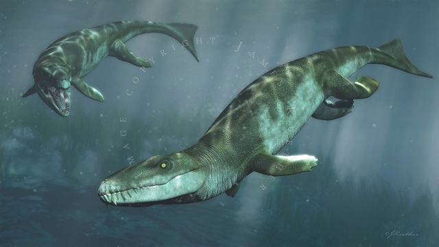 Cá sấu tiền sử dưới đại dương chỉ cần một cú đớp cũng có thể làm thủng bụng ngư long - Ảnh 8.
