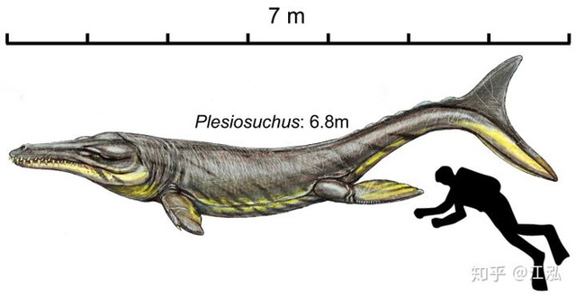 Cá sấu tiền sử dưới đại dương chỉ cần một cú đớp cũng có thể làm thủng bụng ngư long - Ảnh 9.