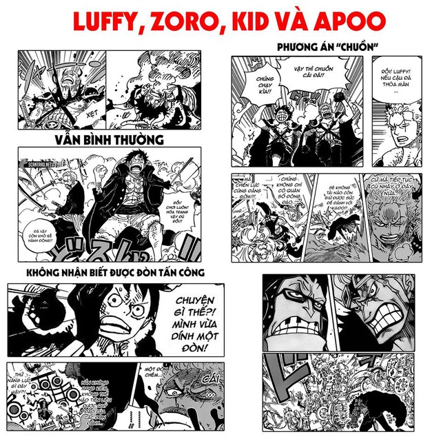One Piece 980: Vì sao Luffy và Zoro gặp khó trước đòn tấn công của Apoo, liệu Oda có dìm con cưng quá đáng? - Ảnh 1.