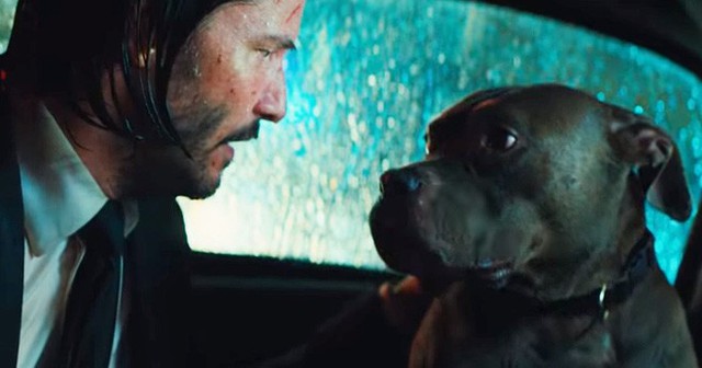 Đạo diễn John Wick từng phải đấu tranh kịch liệt để giữ lại cảnh phim sát hại chú chó trong phần 1 nhằm gây shock cho khán giả - Ảnh 2.
