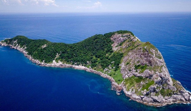 Hòn đảo nguy hiểm nhất thế giới: Quê nhà của hơn 400 nghìn con rắn, lỡ đặt chân vào xem như không có đường ra - Ảnh 1.