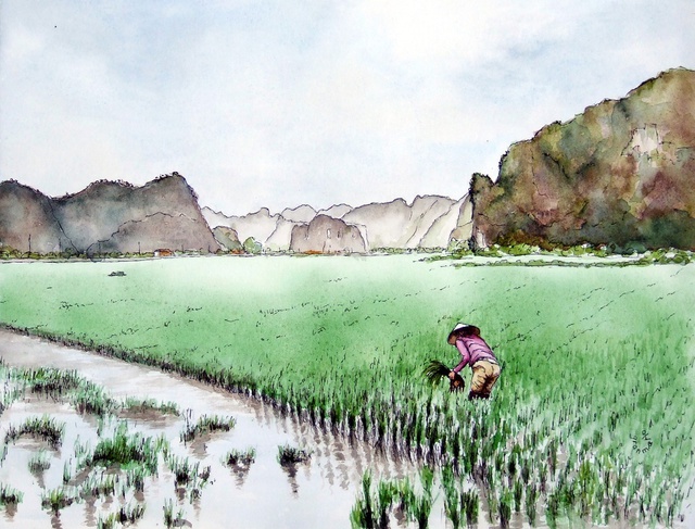 Bộ tranh đẹp quá Việt Nam ơi được vẽ bởi họa sĩ người Pháp, cộng đồng mạng quốc tế thích thú ngắm nhìn một nơi bình dị, an yên nhưng rất tươi đẹp - Ảnh 4.
