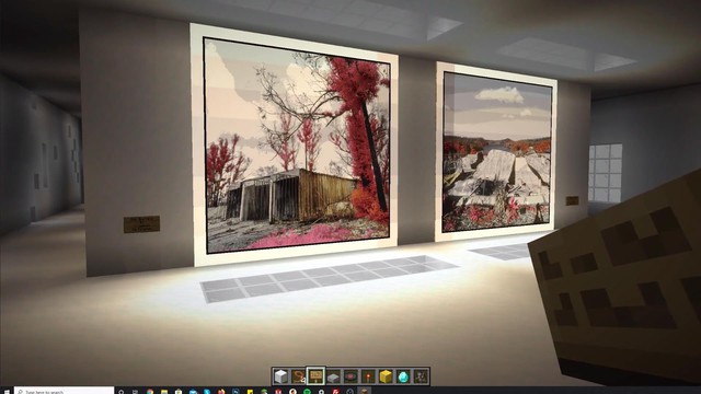 Nhiếp ảnh ra tạo phòng triễn lãm ảo trong Minecraft để gây quỹ từ thiện - Ảnh 1.